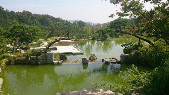 Dream Forest Park